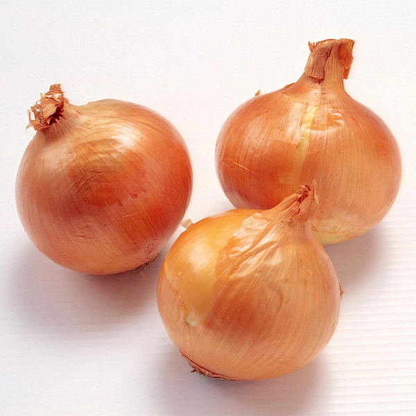Frische organische 20 kg gelbe Verpackungszwiebel