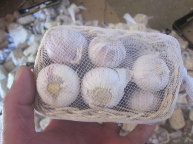 garlic Yunnan original
