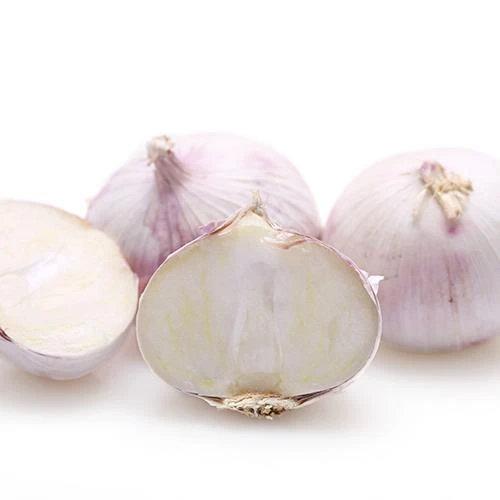 Einzelzehe Solo Knoblauch Yunnan Original